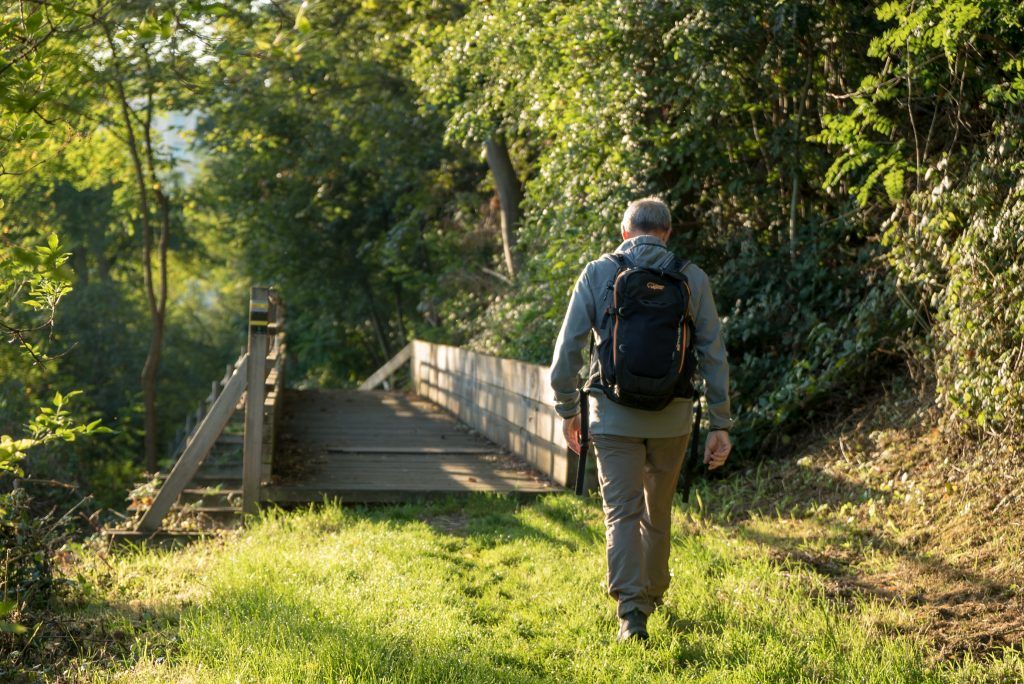 Fréquentation des Rando-campagnardes® 2019 - FFRandonnée Loire