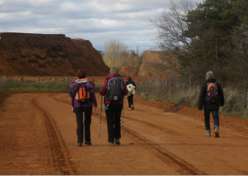 Rando-campagnardes® : il faut encore patienter…