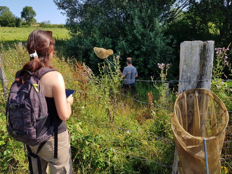 Gorges de la Loire : des randos participatives...