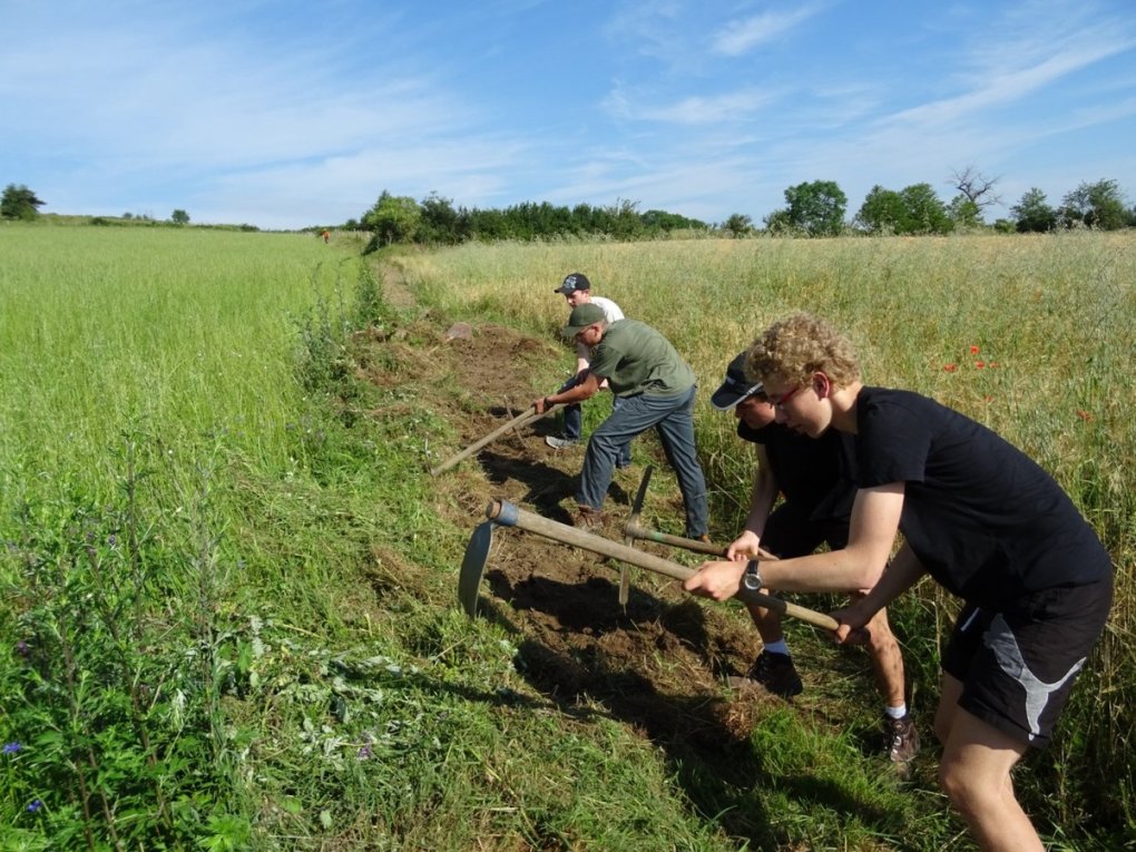 St-Georges-Haute-Ville : les lycéens en action !
