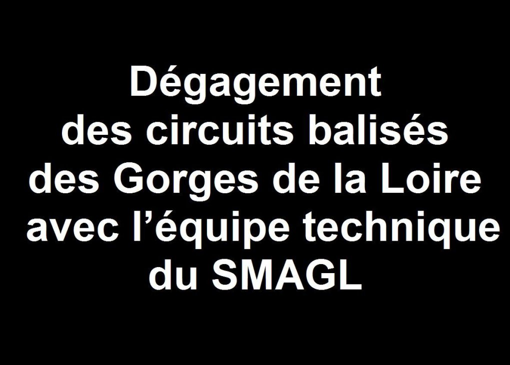 Branches cassées : les travaux continuent...