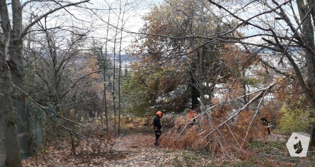 Branches cassées : les travaux continuent...
