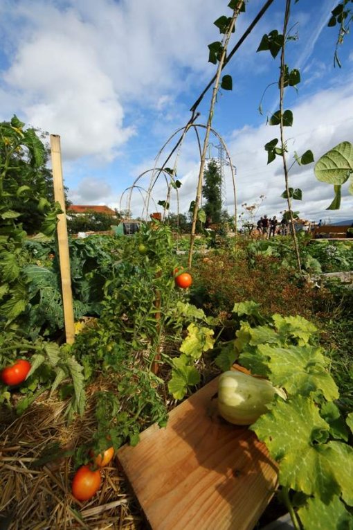 De nouveaux jardins sur un sentier urbain...