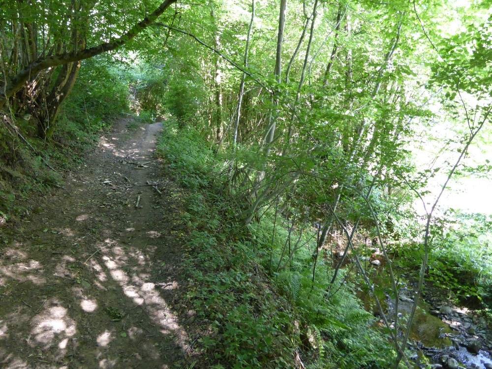 Idée rando (1) : Chagnon, le circuit des Echèdes