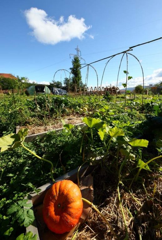 De nouveaux jardins sur un sentier urbain...