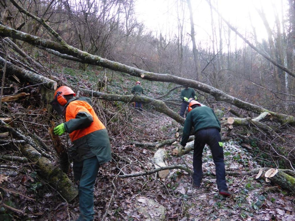 Pilat : zoom sur un chantier de l'équipe d'entretien