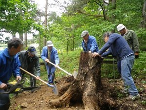 Les Belettes vous invitent à leurs tables !