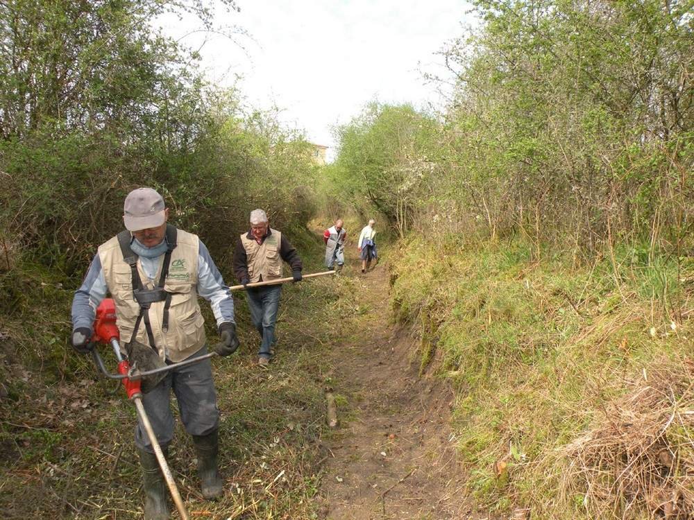 Réhabilitation d'un chemin rural à St-Romain-le-Puy