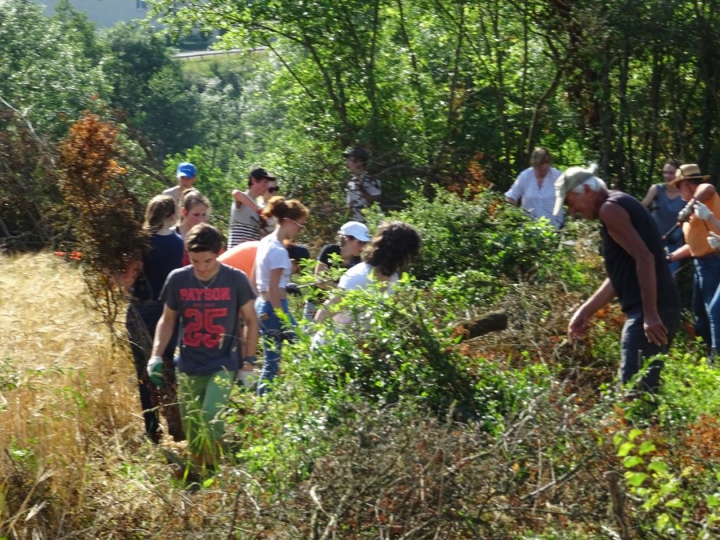 St-Georges-Haute-Ville : les lycéens en action !