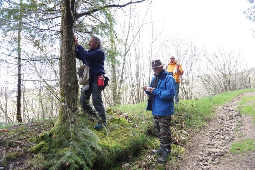Variante du GR® 3 : les chantiers du printemps
