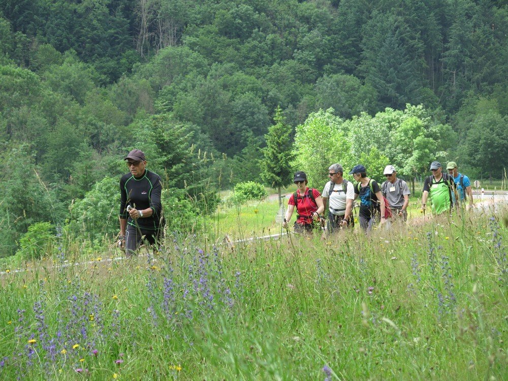 Stage de formation animateur marche nordique à Moulin-Chérier.