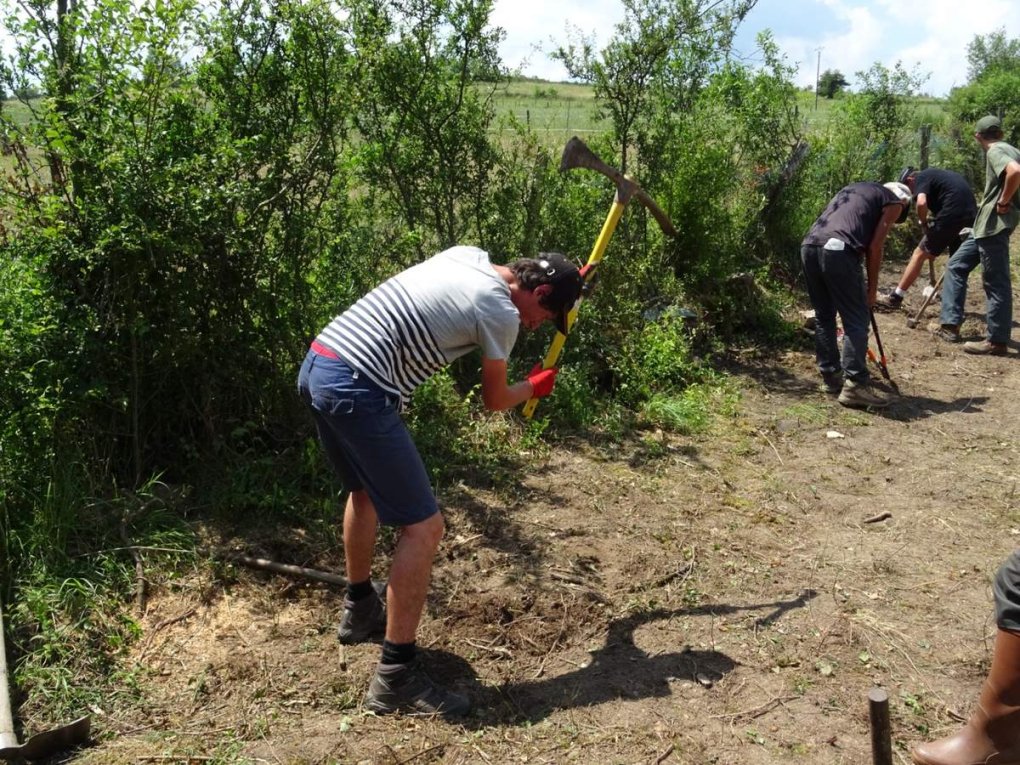St-Georges-Haute-Ville : les lycéens en action !