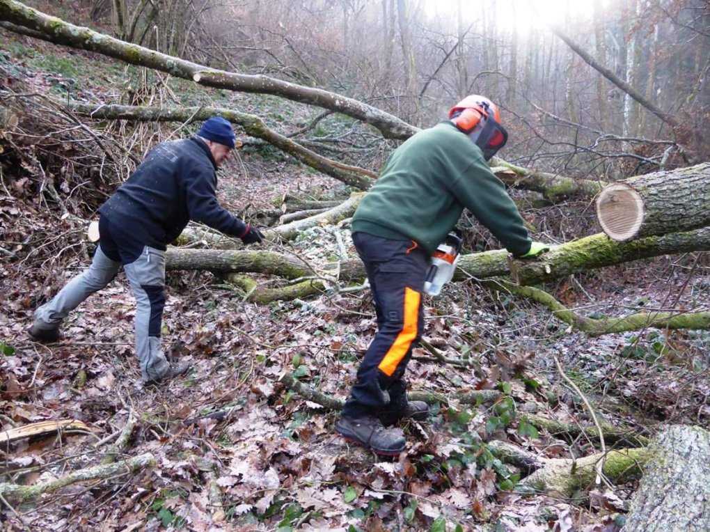 Pilat : zoom sur un chantier de l'équipe d'entretien