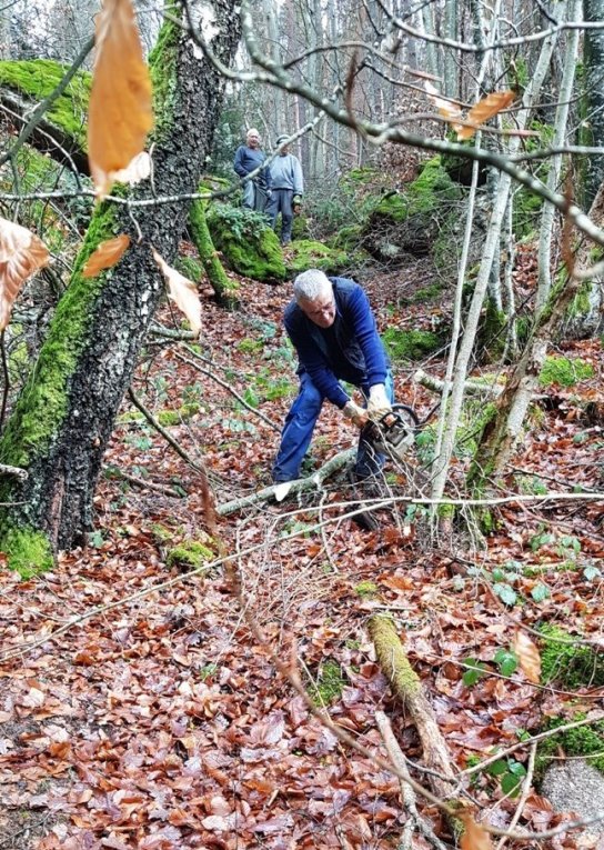 Branches cassées : les travaux continuent...