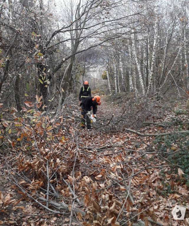 Branches cassées : les travaux continuent...