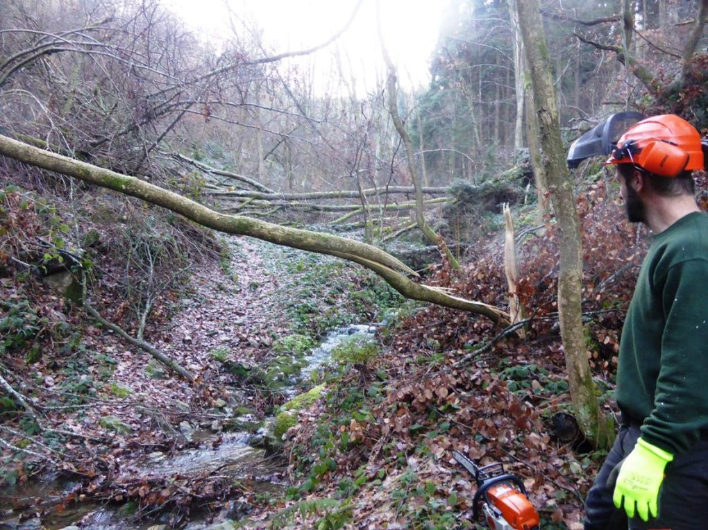 Pilat : zoom sur un chantier de l’équipe d’entretien
