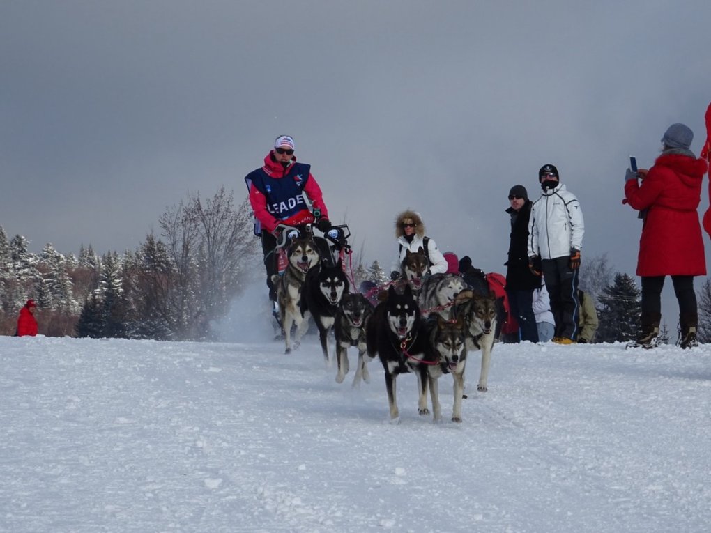 Savoie : des marcheurs, des chiens et un drone...