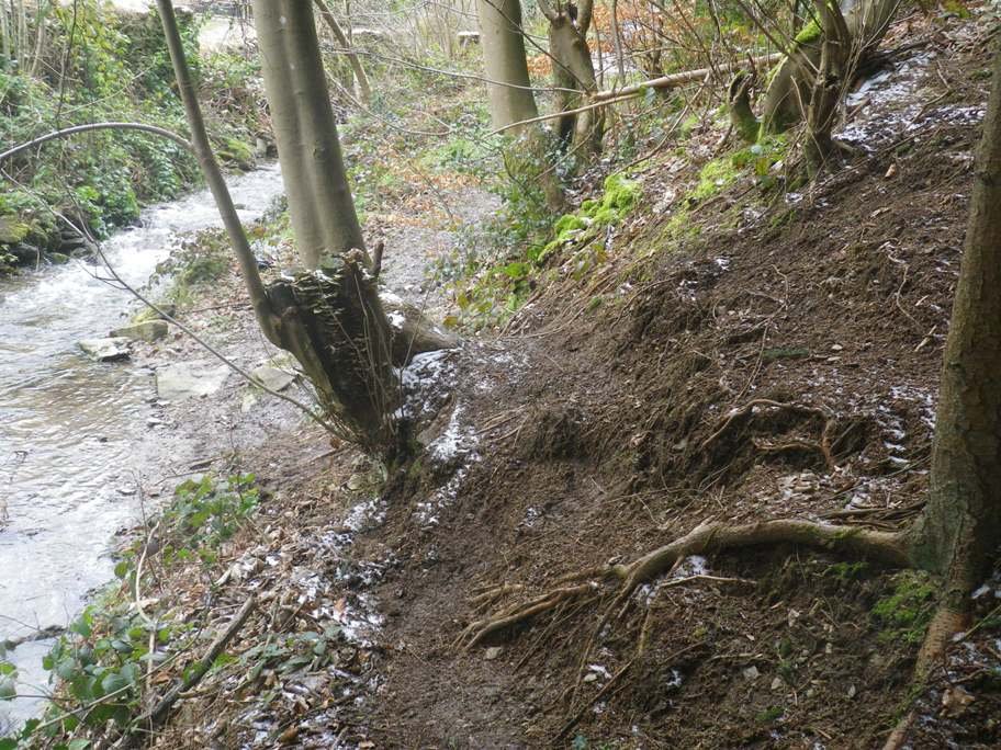 Le sentier Furan-Furet réaménagé...