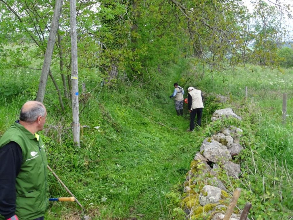Variante du GR® 3 : les chantiers du printemps