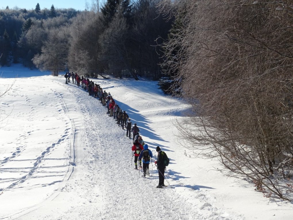 Savoie : des marcheurs, des chiens et un drone...
