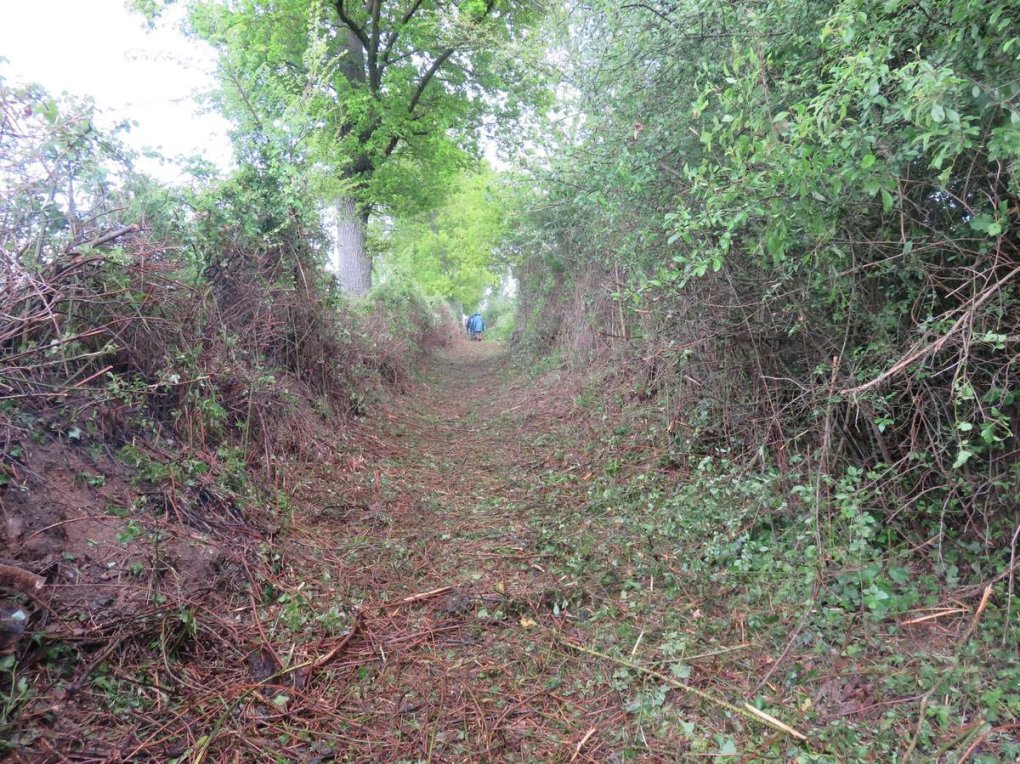 Retour sur "Mon chemin, j'y tiens... Je l'entretiens !"