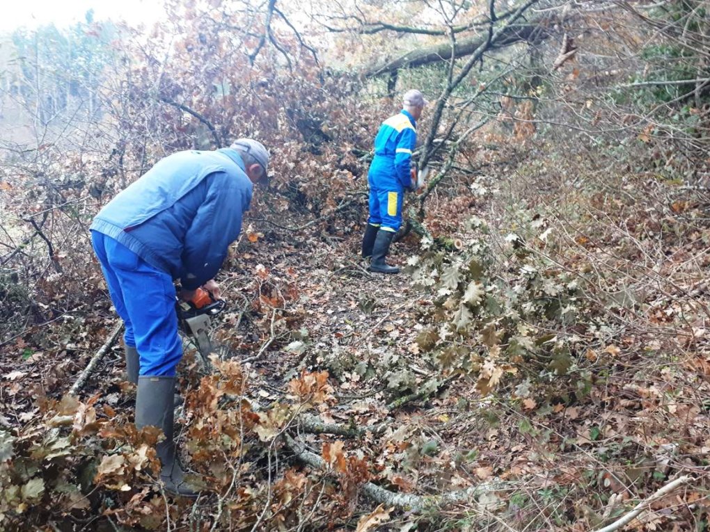 Branches cassées : les travaux continuent...