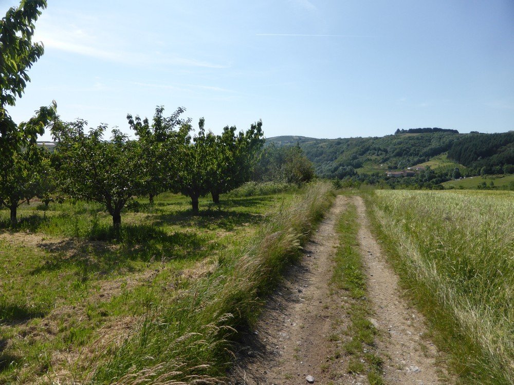 Idée rando (1) : Chagnon, le circuit des Echèdes