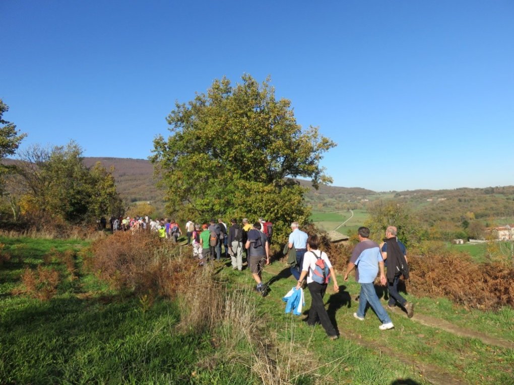 Pélussin : le sentier du Tacot inauguré