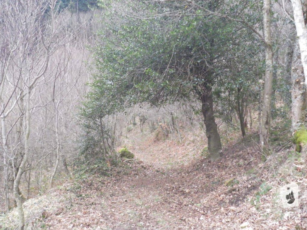 Pilat : deux chemins ré-ouverts cet hiver !