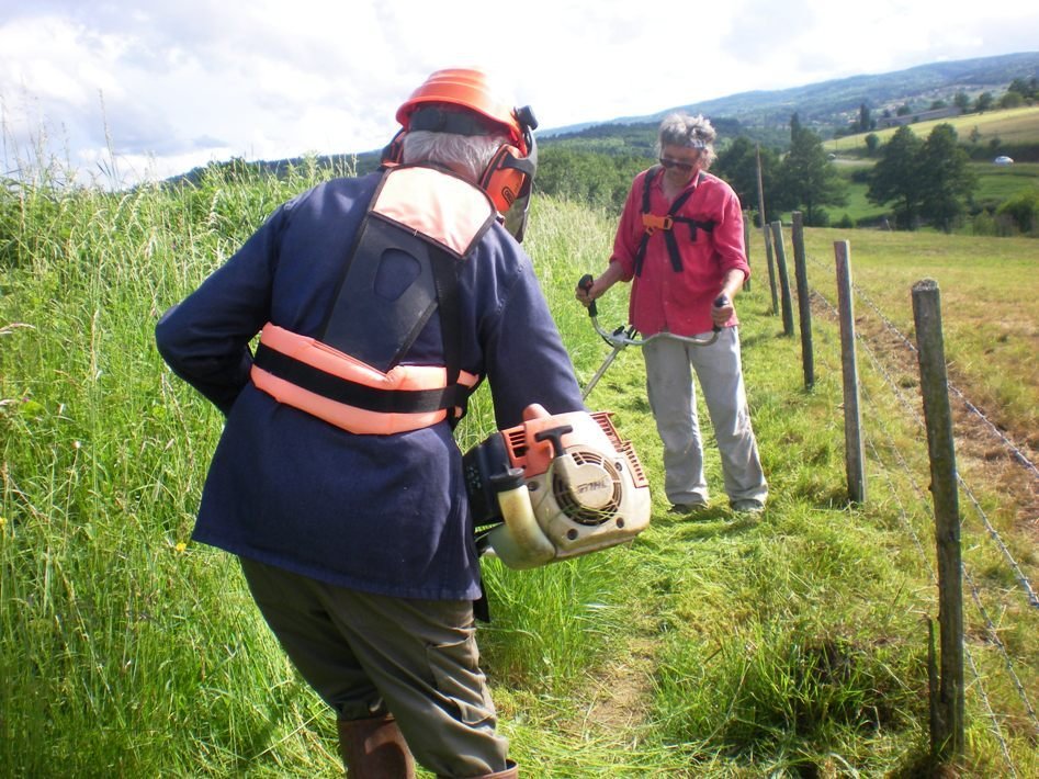 Une coupe pour le GR 765 et la variante du GR 3 !