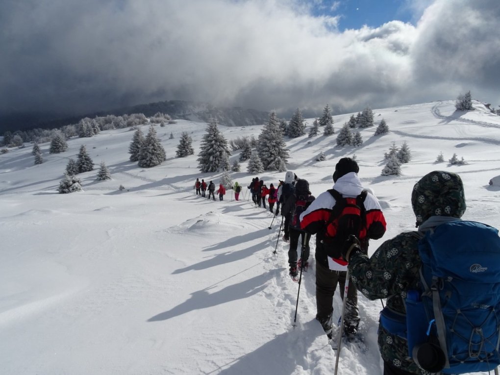 Savoie : des marcheurs, des chiens et un drone...