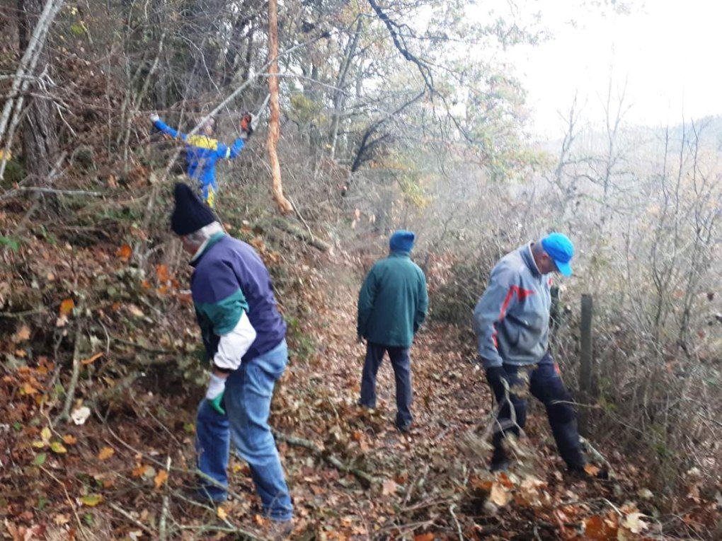 Branches cassées : les travaux continuent...