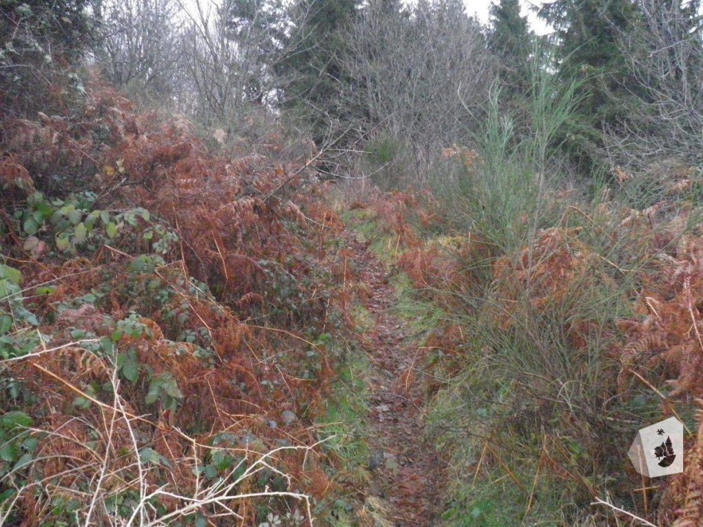Pilat : deux chemins ré-ouverts cet hiver !