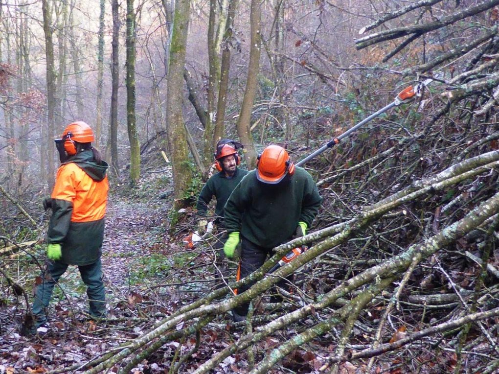 Pilat : zoom sur un chantier de l'équipe d'entretien