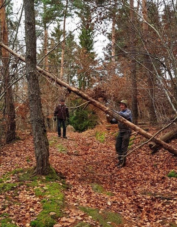 Branches cassées : les travaux continuent...