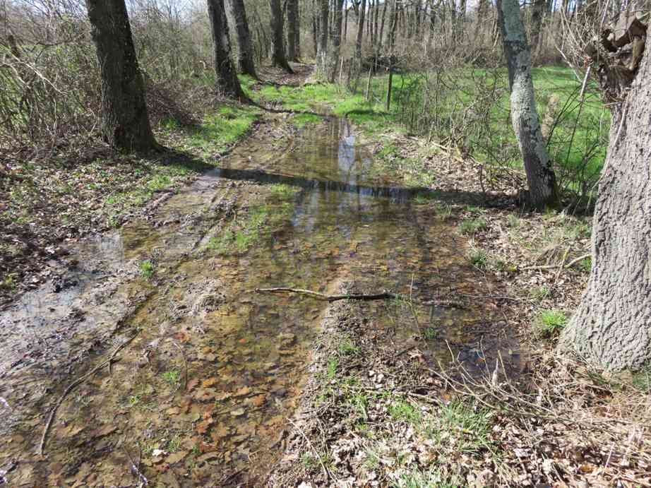 “Mon chemin, j’y tiens…” : suite des travaux…