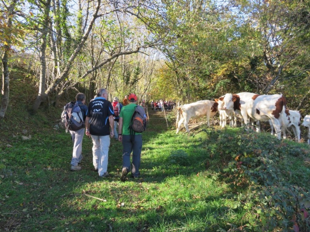 Pélussin : le sentier du Tacot inauguré