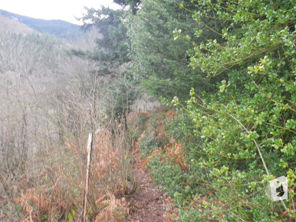 Pilat : deux chemins ré-ouverts cet hiver !