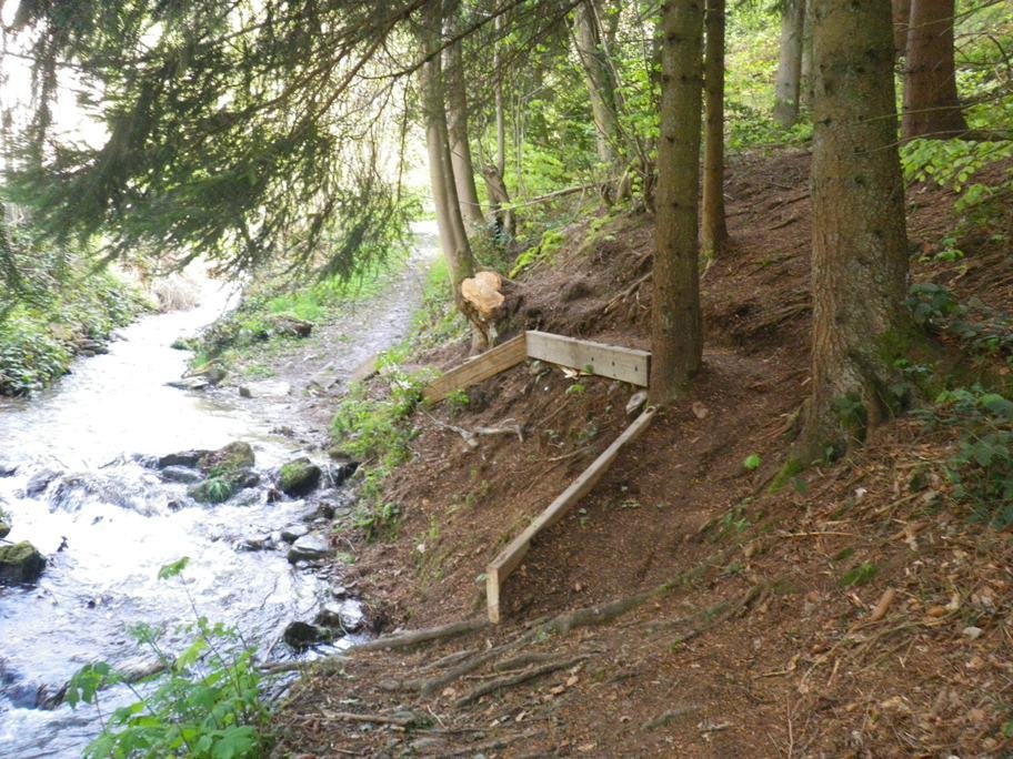 Le sentier Furan-Furet réaménagé...