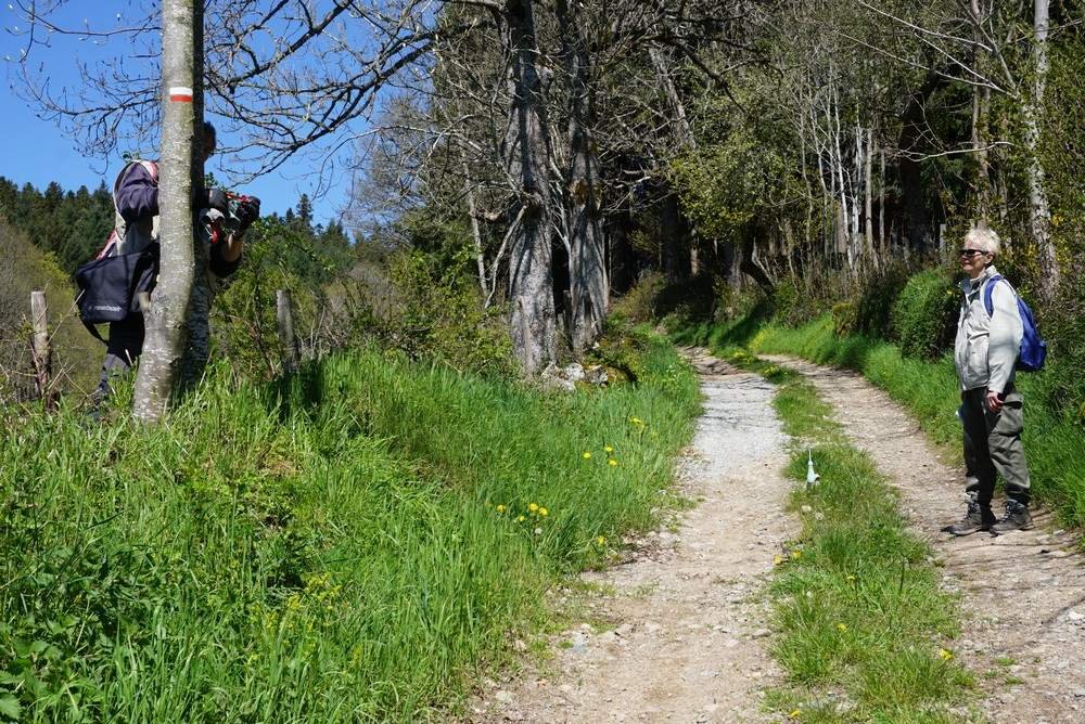 Variante du GR® 3 : les chantiers du printemps
