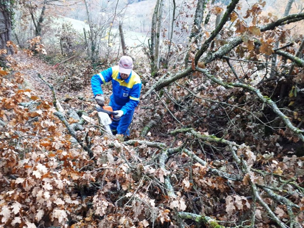 Branches cassées : les travaux continuent...