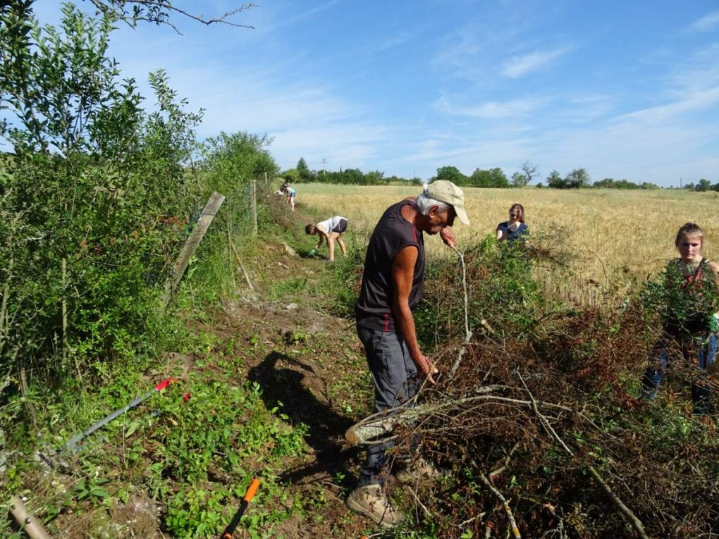 St-Georges-Haute-Ville : les lycéens en action !