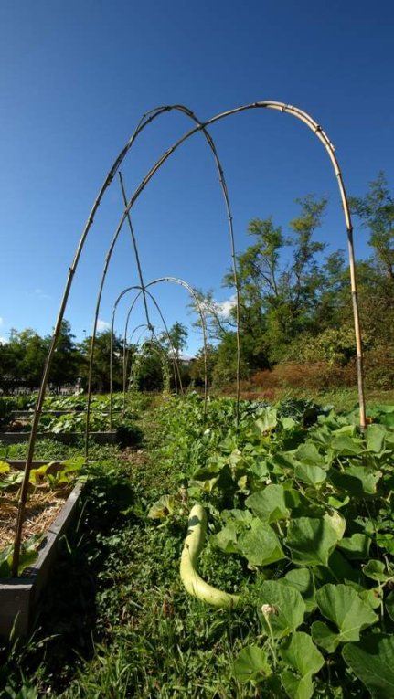 De nouveaux jardins sur un sentier urbain...