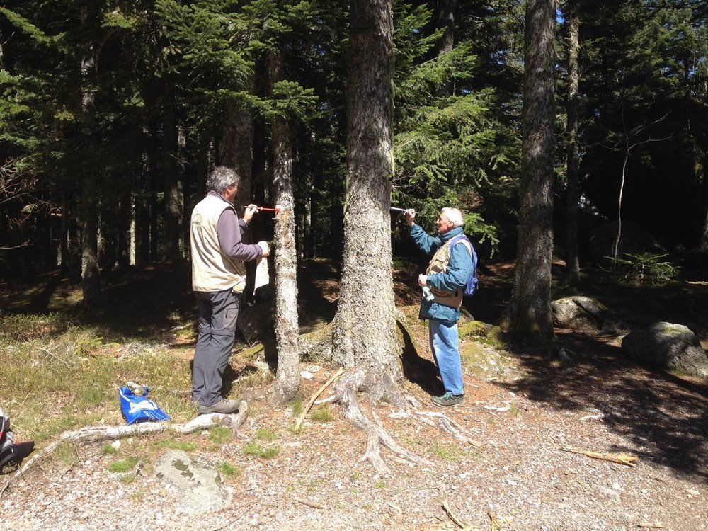 Variante du GR® 3 : les chantiers du printemps
