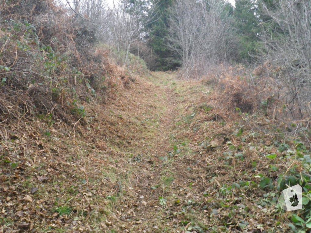 Pilat : deux chemins ré-ouverts cet hiver !