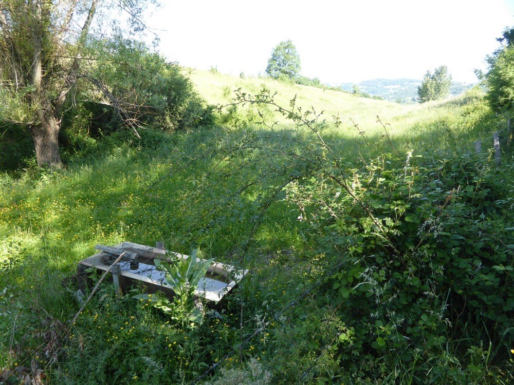 Idée rando (1) : Chagnon, le circuit des Echèdes