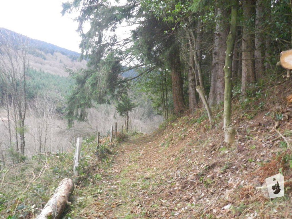 Pilat : deux chemins ré-ouverts cet hiver !