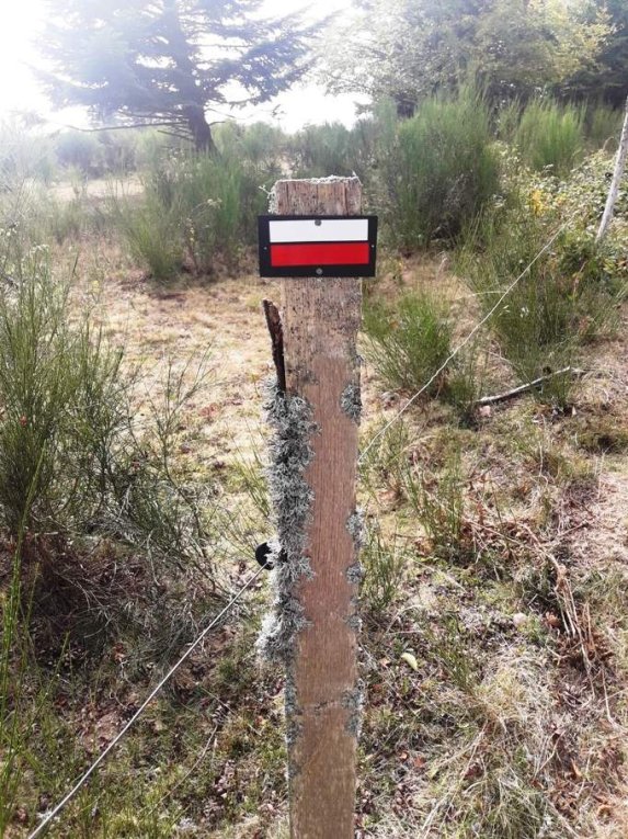 GR® 7 : deux petites modifications dans le Pilat