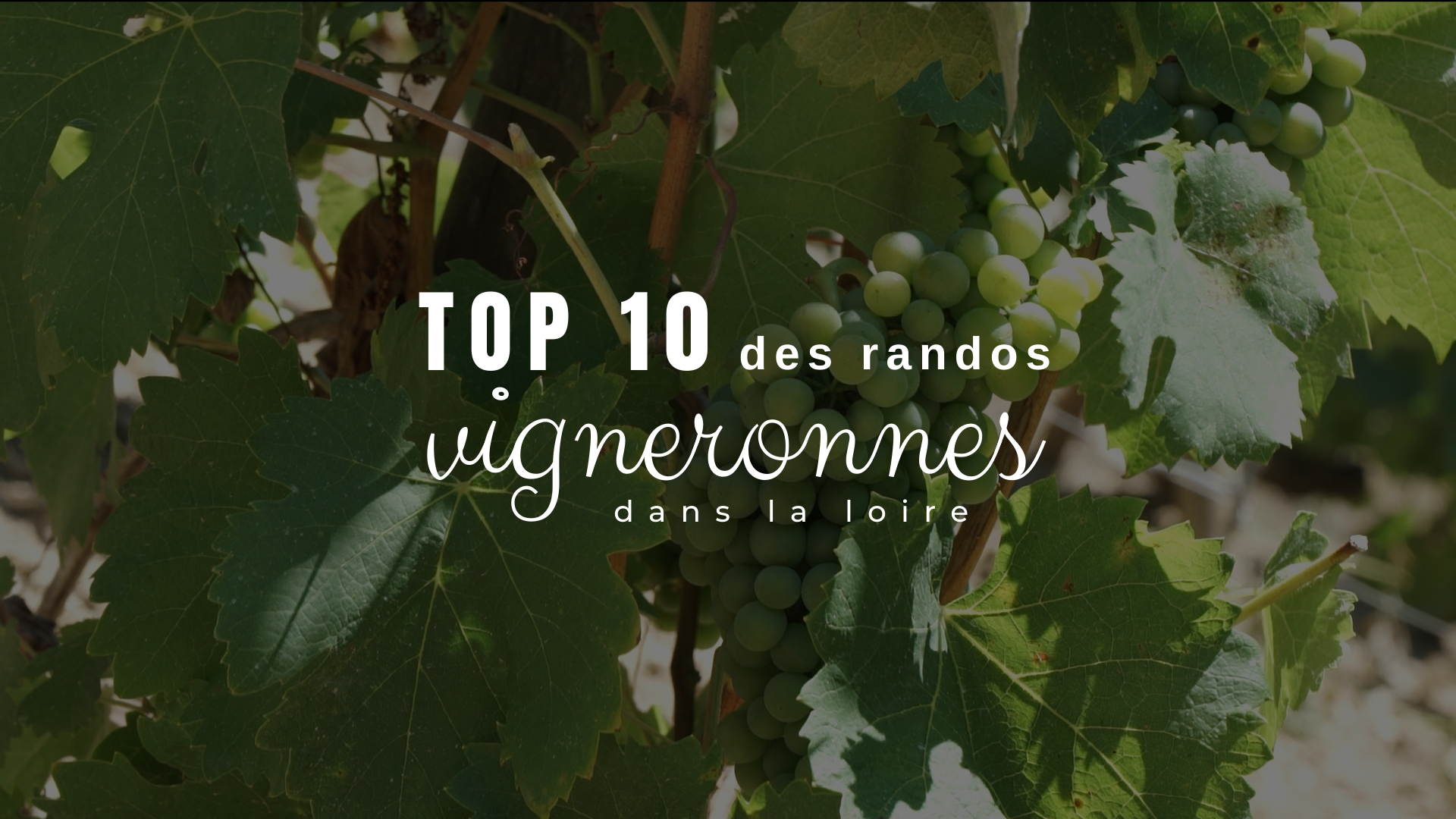 Top 10 des randos vigneronnes