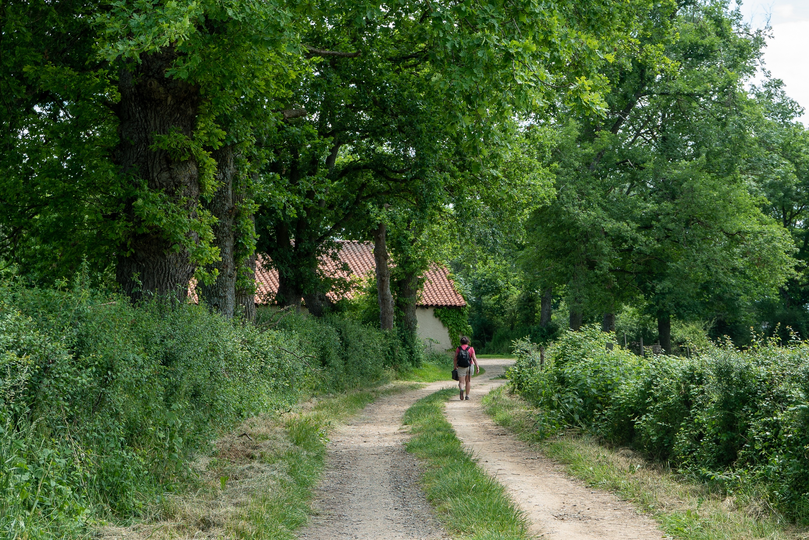 Une commission pour la protection des sentiers et de l’environnement